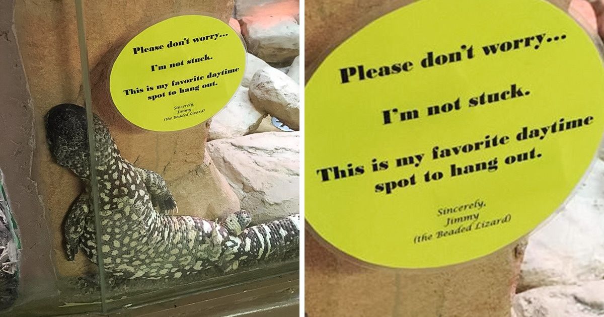 15 Photos That May Make You Blink a Few Times Before You Understand Them