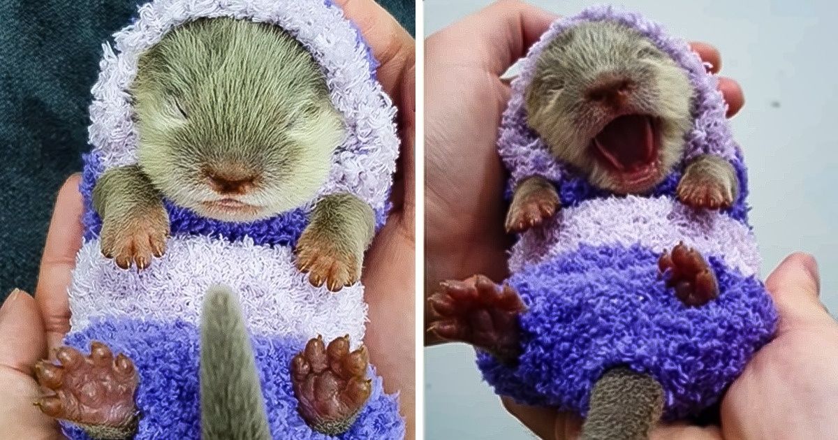 20 Delicate Pics That Feel Like a Mom’s Hug