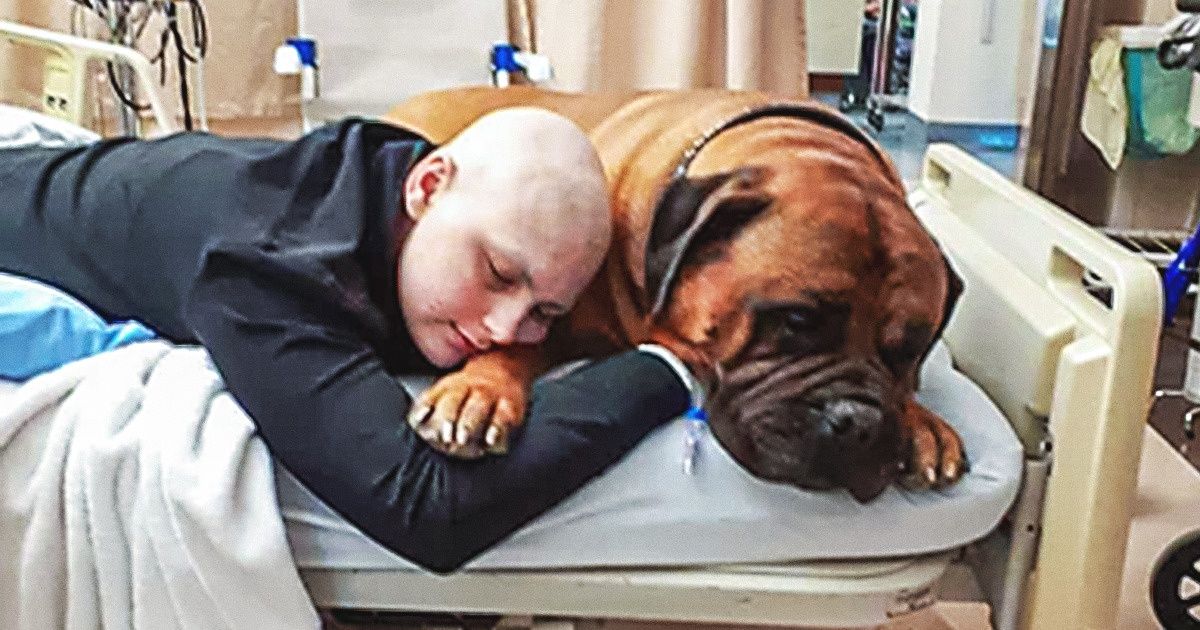 A Canadian Hospital Lets Patients Meet Their Pets to Get Well Sooner, and It’s a Sweet Thing to See