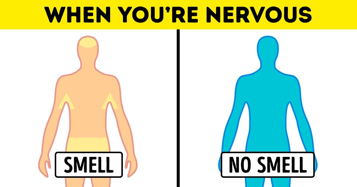 9 Annoying Things That Actually Have an Explanation 9 Annoying Things That Actually Have an Explanation
