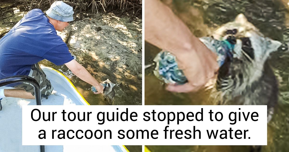 15 People Who Love the Job They Do With All Their Heart 15 People Who Love the Job They Do With All Their Heart