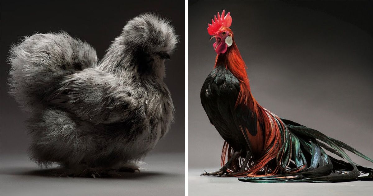 29 Wonders of Nature You Wouldn’t Think Existed