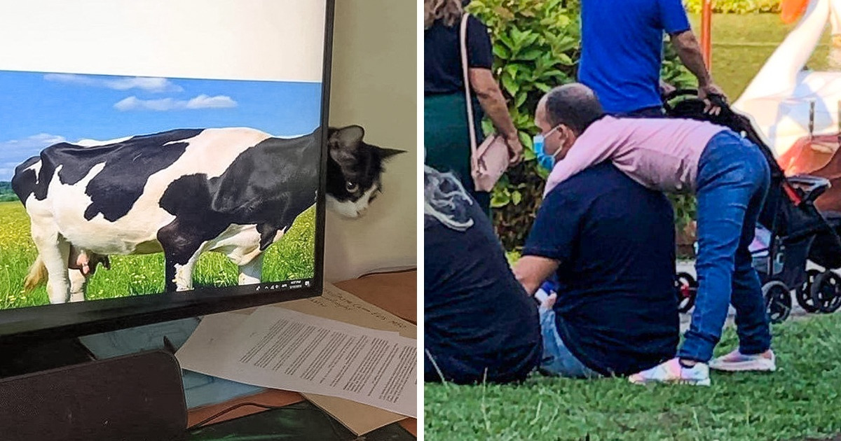 15 Accidental Shots That Are Definitely Not What They Look Like