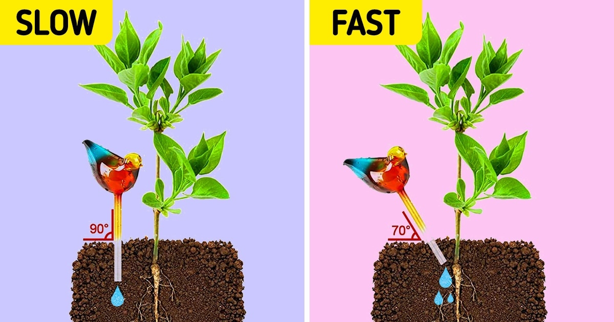 15 Products From Amazon for Growing an Indoor Garden