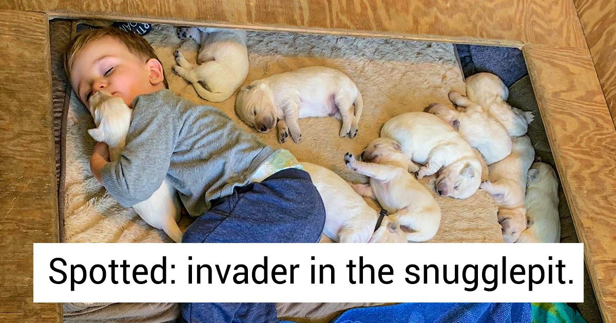 13 Kind Photos That Can Urge You to Go Hug Your Loved Ones 13 Kind Photos That Can Urge You to Go Hug Your Loved Ones
