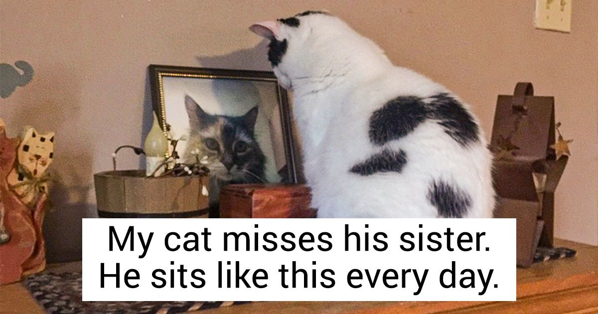 25 Photos That Show Soul-Stirring Stories About True Love 25 Photos That Show Soul-Stirring Stories About True Love