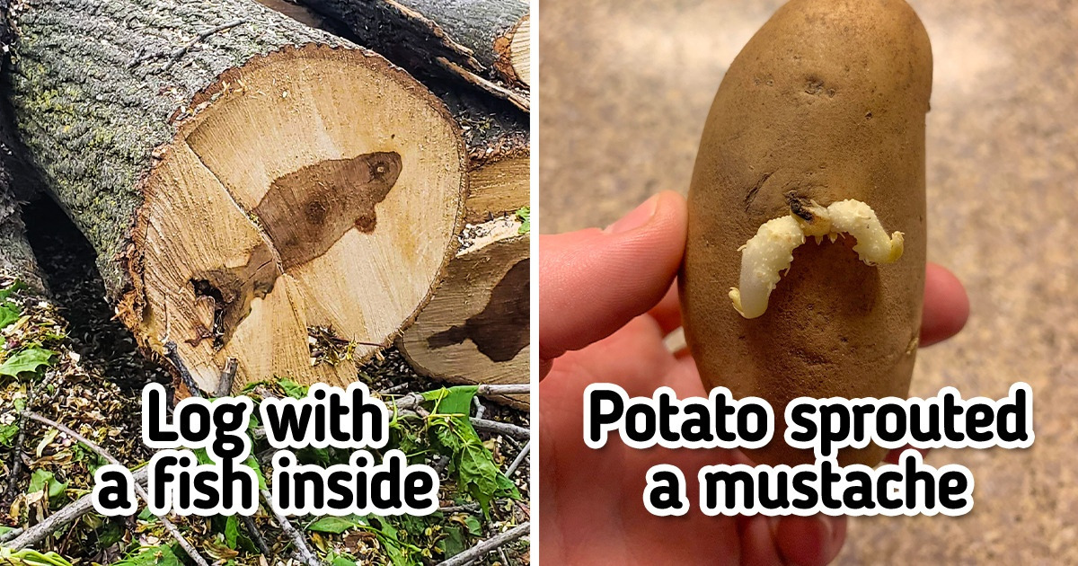 25 Pictures That Prove Nature Is a Continuous Delight
