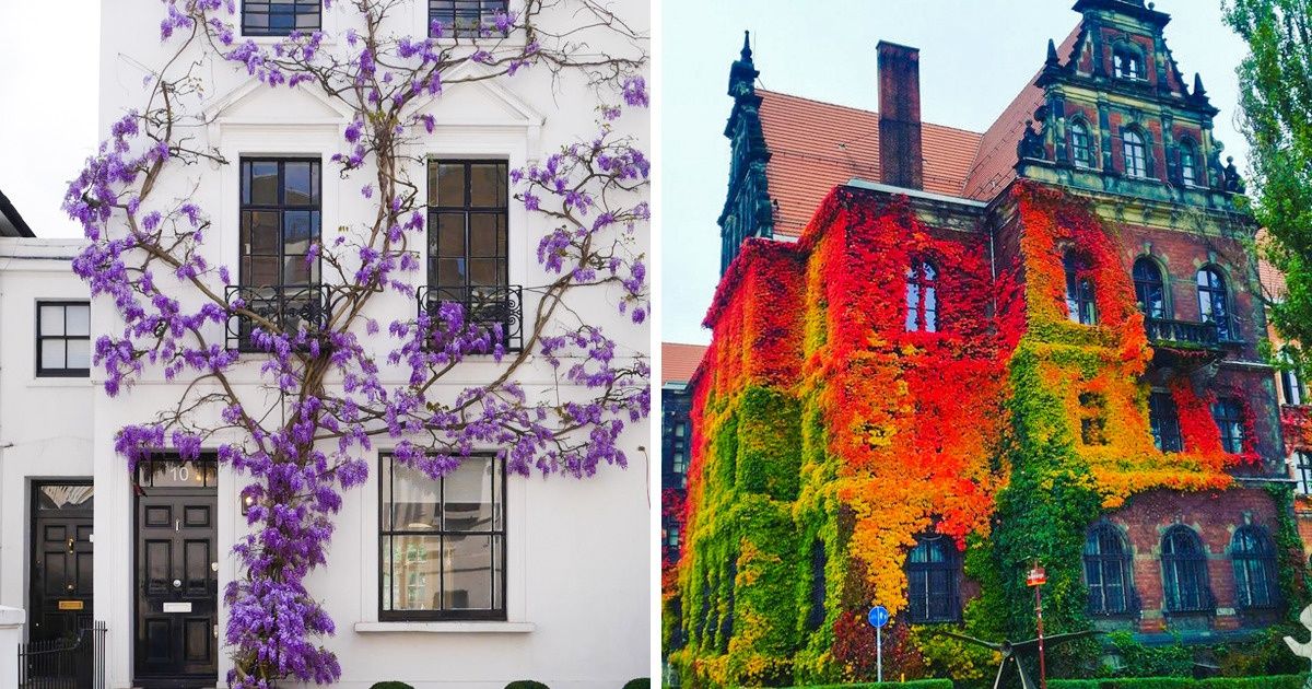 14 Times Plants Turned Homes Into Scenes Out of a Fairytale