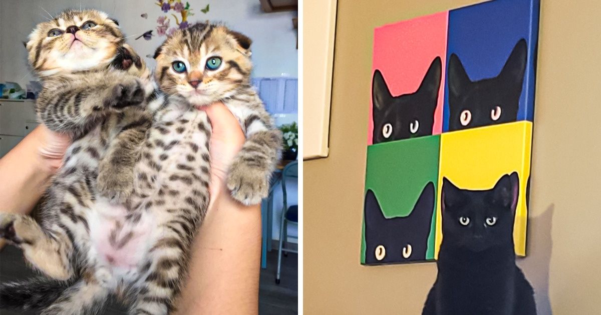 15 Pictures That Allow Us to View Beyond What Is Normally Seen
