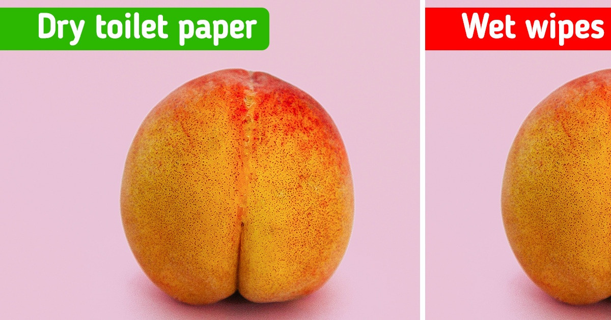 What May Happen If You Use Wet Toilet Paper Instead of the Regular Kind, According to Science What May Happen If You Use Wet Toilet Paper Instead of the Regular Kind, According to Science