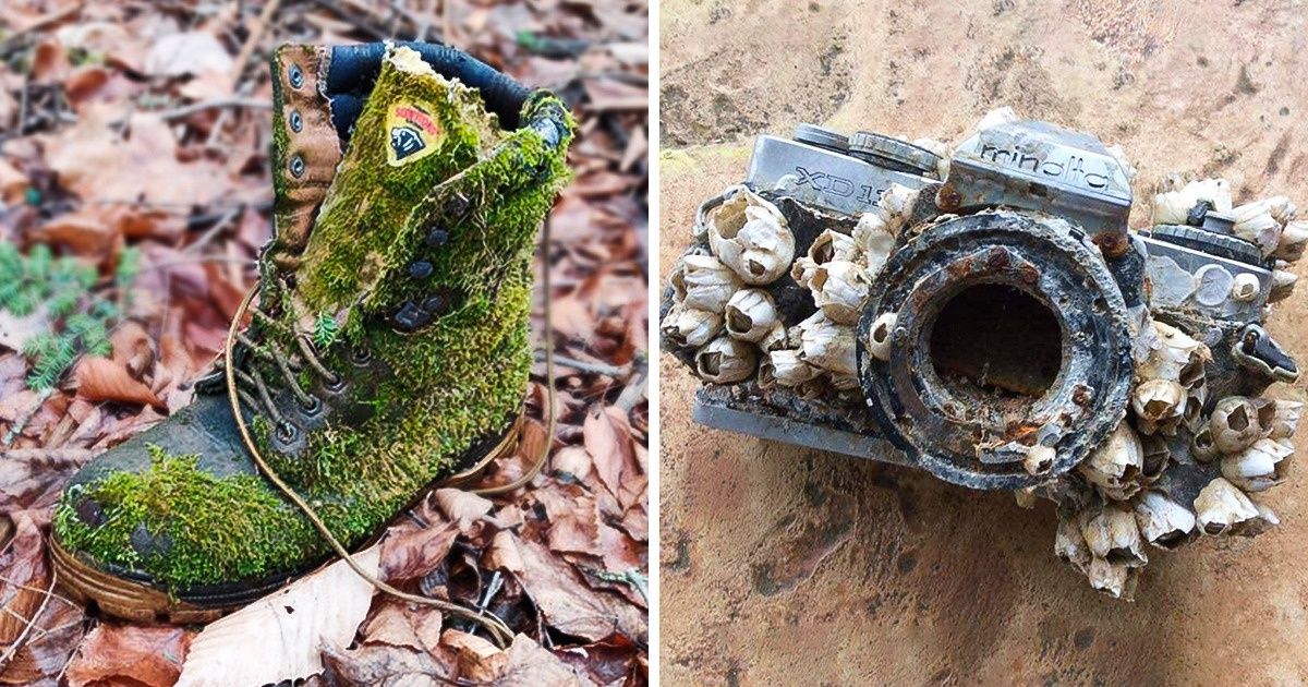 15+ Photos of Places Where Nature Took Back Control