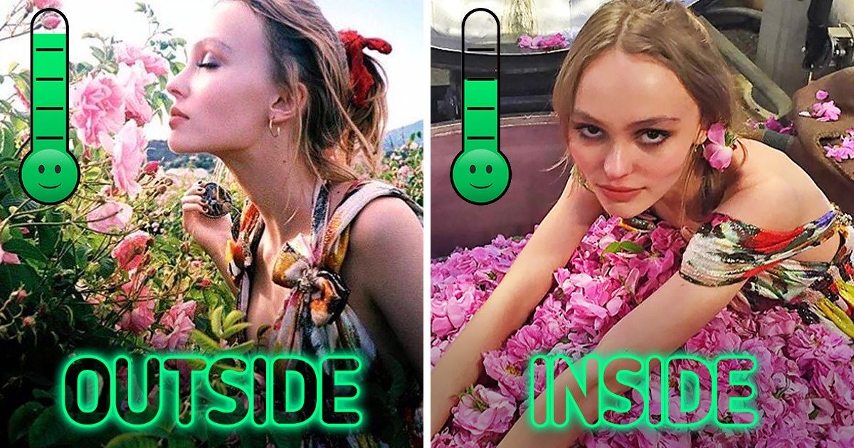 Watching Nature on TV Can Have Similar Effects as Going Out, a Study Finds Watching Nature on TV Can Have Similar Effects as Going Out, a Study Finds