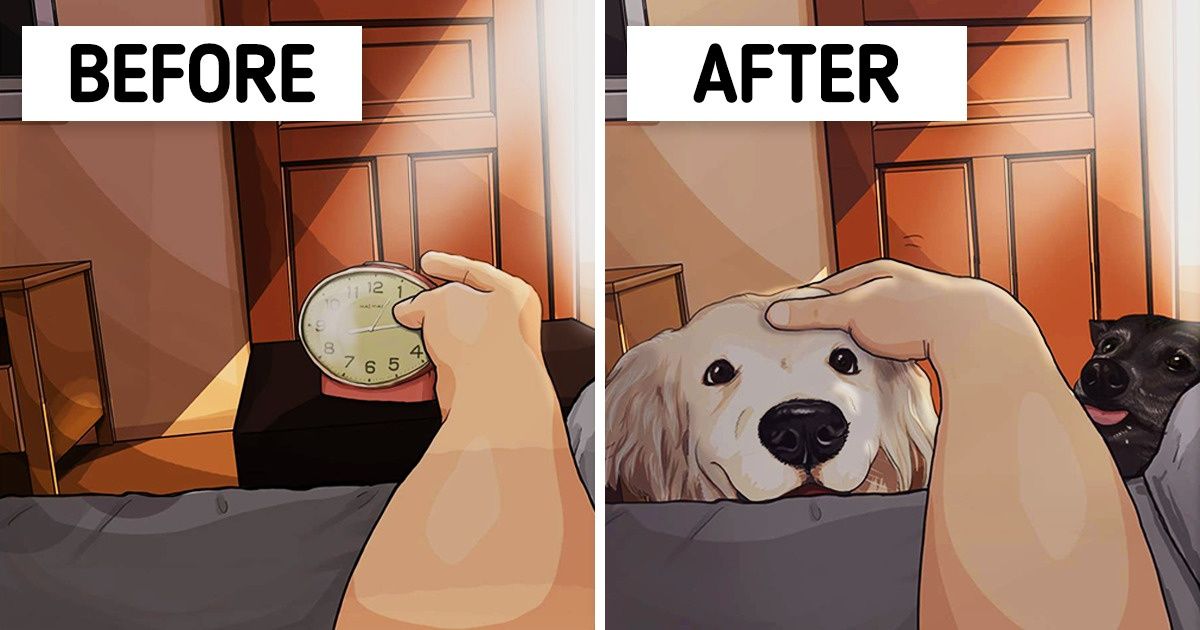 A Taiwanese Artist Illustrates What Life Is Like Before and After You Get Pets