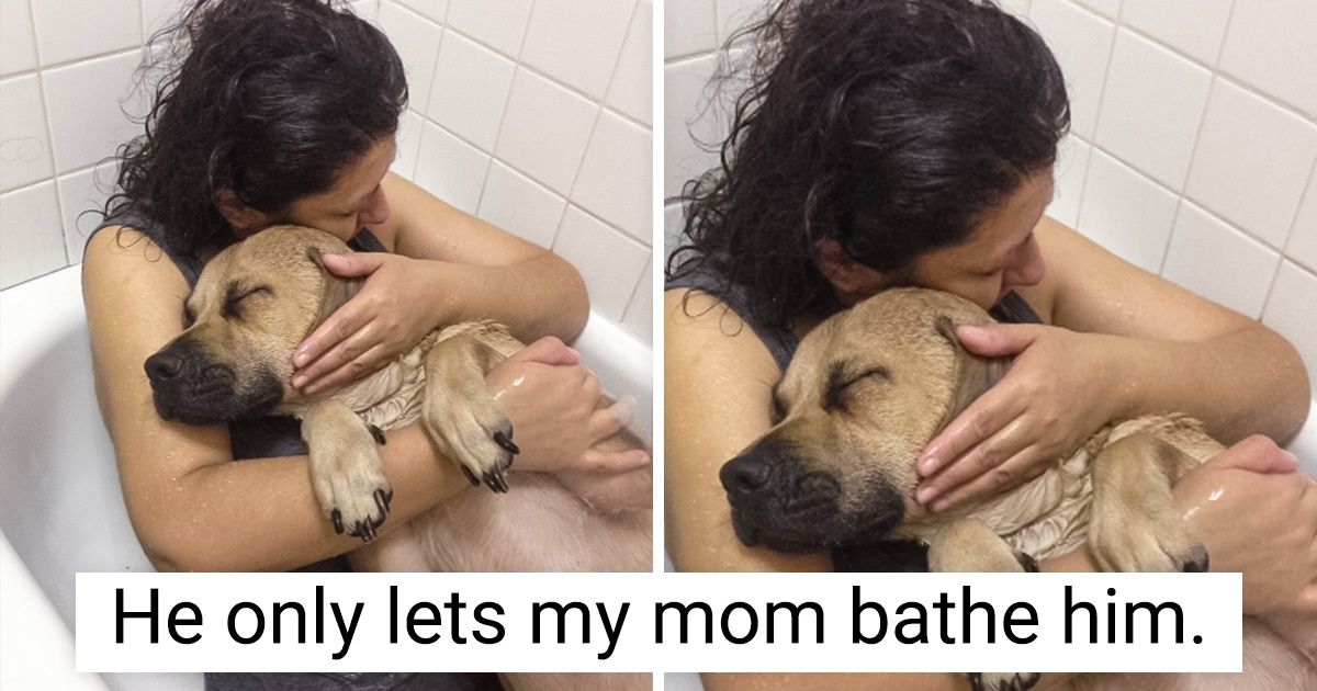 20 People Lucky Enough to See Something That Made Their Day Happier