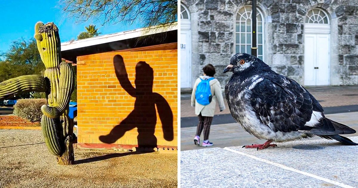 22 Pics That Show It’s All a Matter of Angles