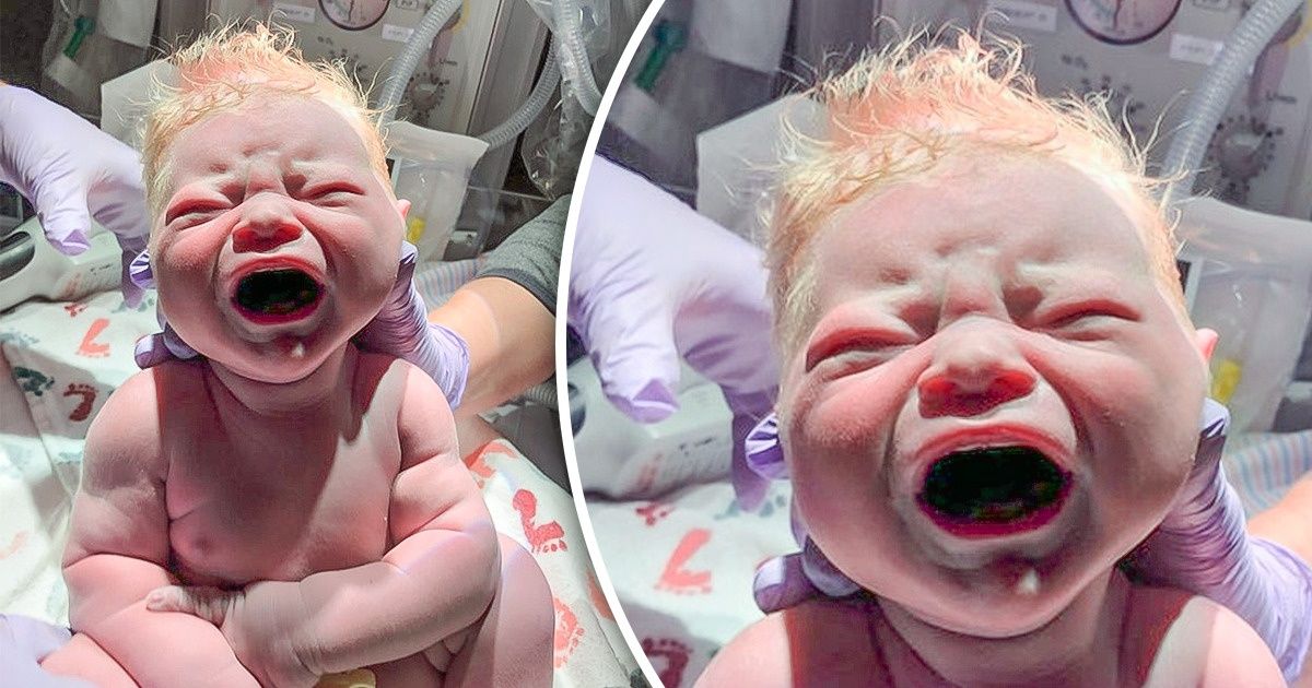 15+ Pics That Prove How Creative the Human Body Can Be