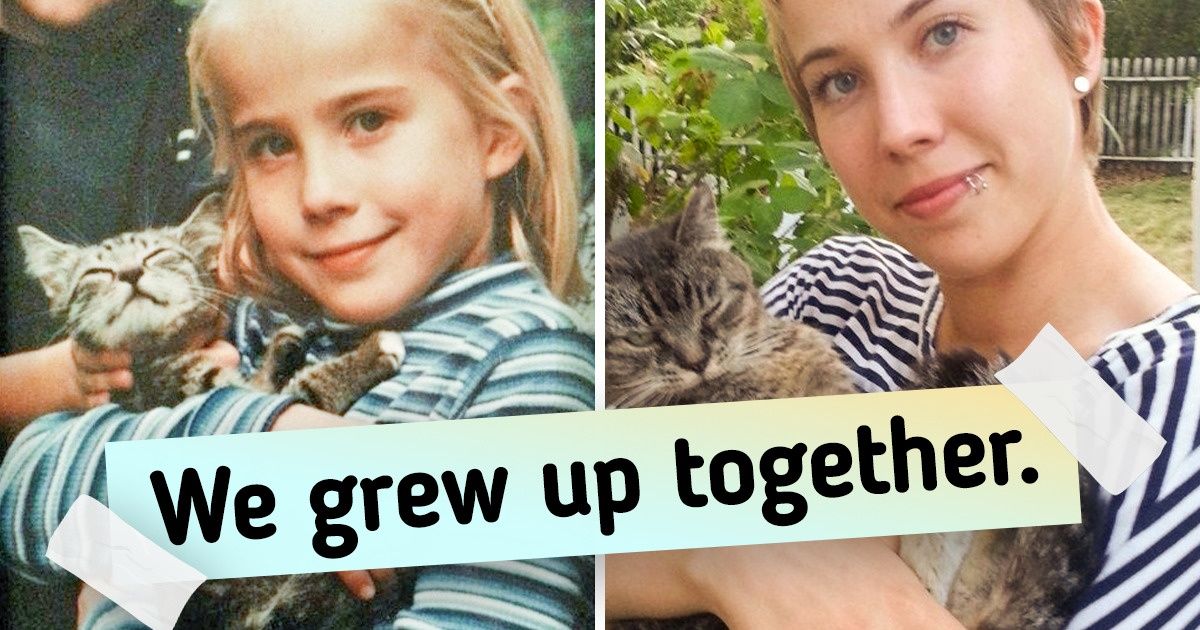 Animals and Humans Create a Lifelong Bond: 19 Examples
