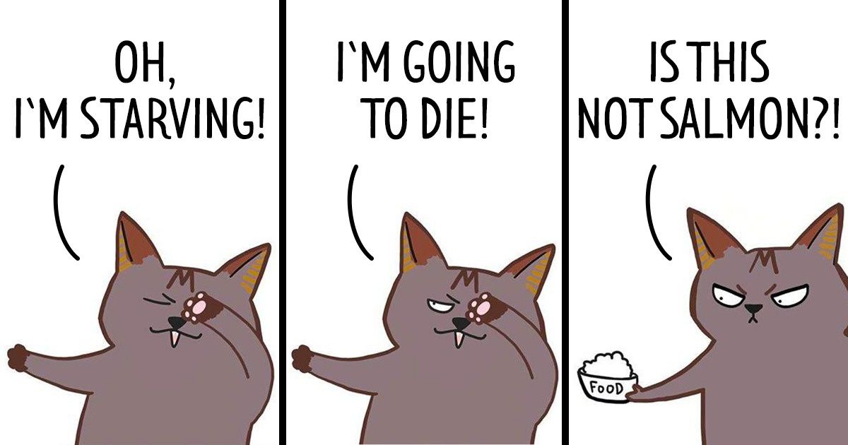 A Girl Draws Honest Comics About an Unpredictable Life With 4 Cats
