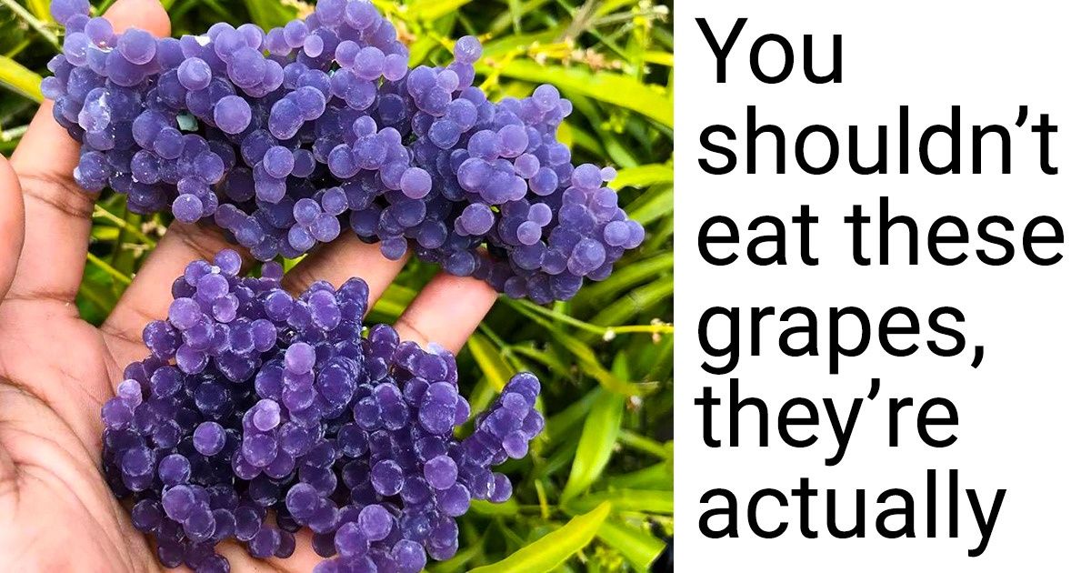 15+ Things That Reveal Their True Selves After a Blink or 2