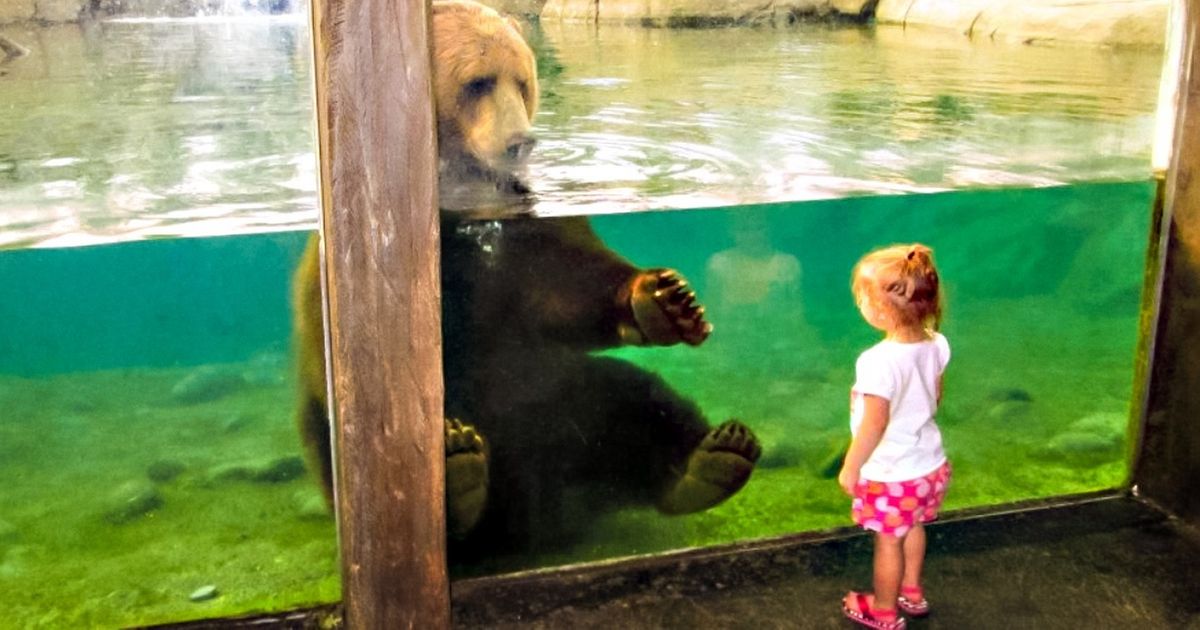 30 Examples That Kids Plus Pets Equals Cuteness Squared