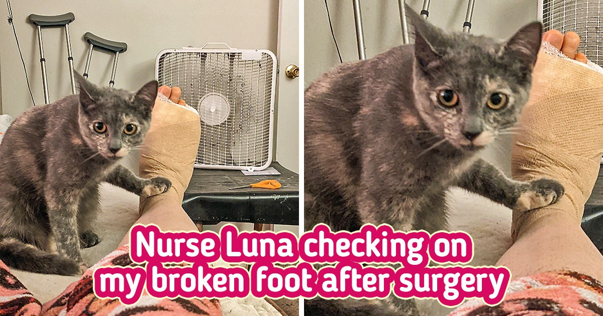 18 Genuine Moments That Make Us Grin From Ear to Ear 18 Genuine Moments That Make Us Grin From Ear to Ear