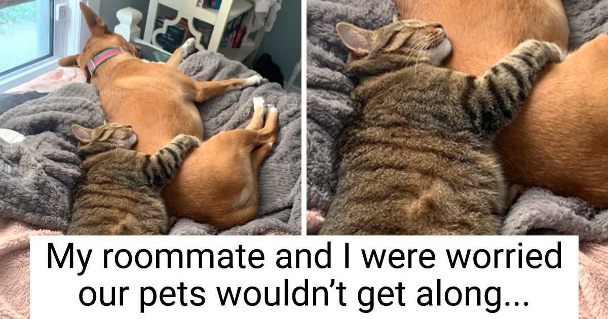 18 Pics That Will Warm You Up During the First Days of Autumn Like One ...