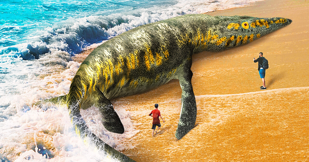 9 Incredibly Huge Sea Creatures Ever Known