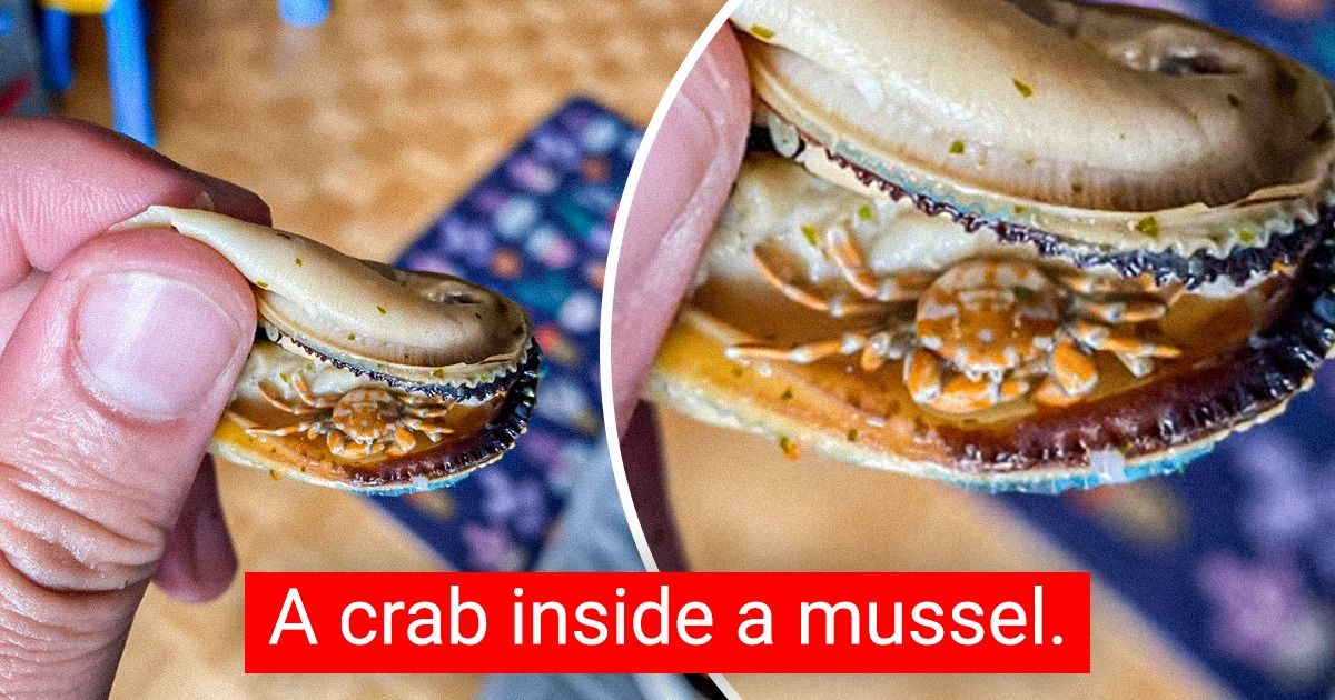 15+ People Who Had No Idea They Were About to Find Something Special