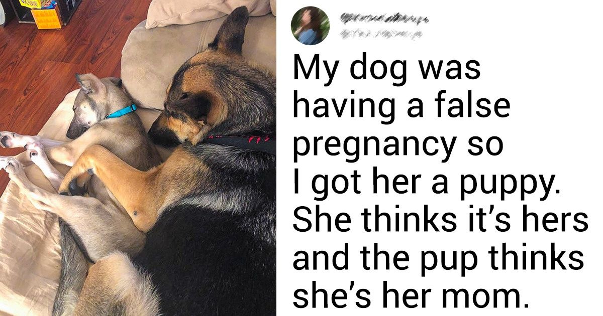 16 Touching Photos That Prove Wonders Do Happen 16 Touching Photos That Prove Wonders Do Happen