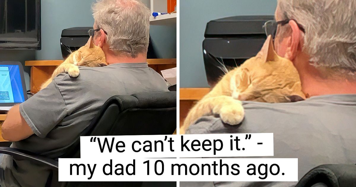 20+ People Who Said They’d Never Have a Pet in Their House 20+ People Who Said They’d Never Have a Pet in Their House