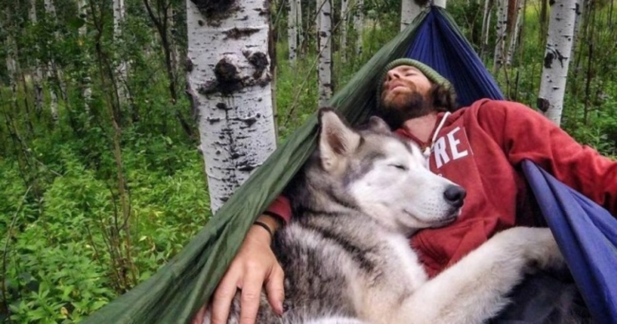 20 heart-warming photos proving that a dog’s loyalty is the strongest of all 20 heart-warming photos proving that a dog’s loyalty is the strongest of all