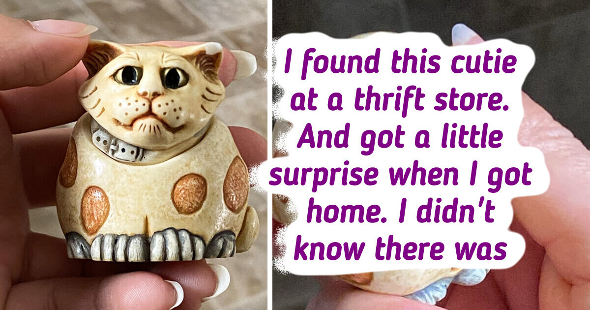 20 Lucky Ones Who Thrifted a Treasure 20 Lucky Ones Who Thrifted a Treasure