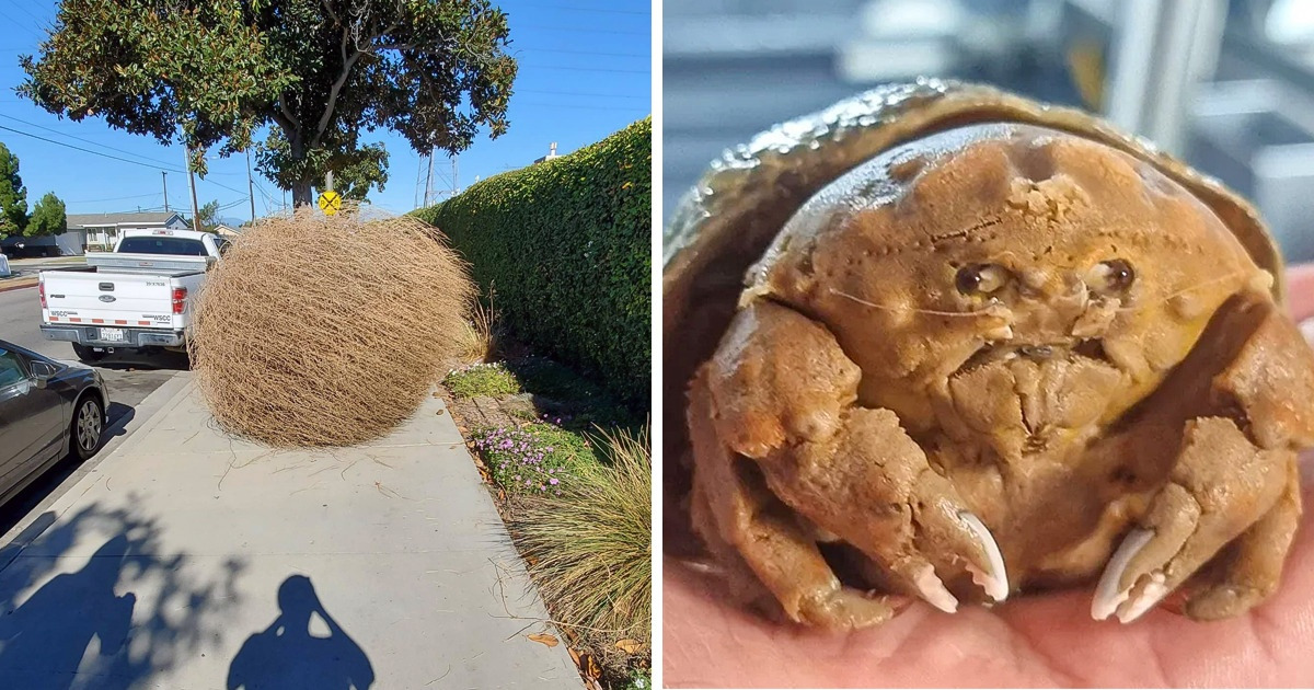 21 Times the Universe Glitched and You Had to Look Twice