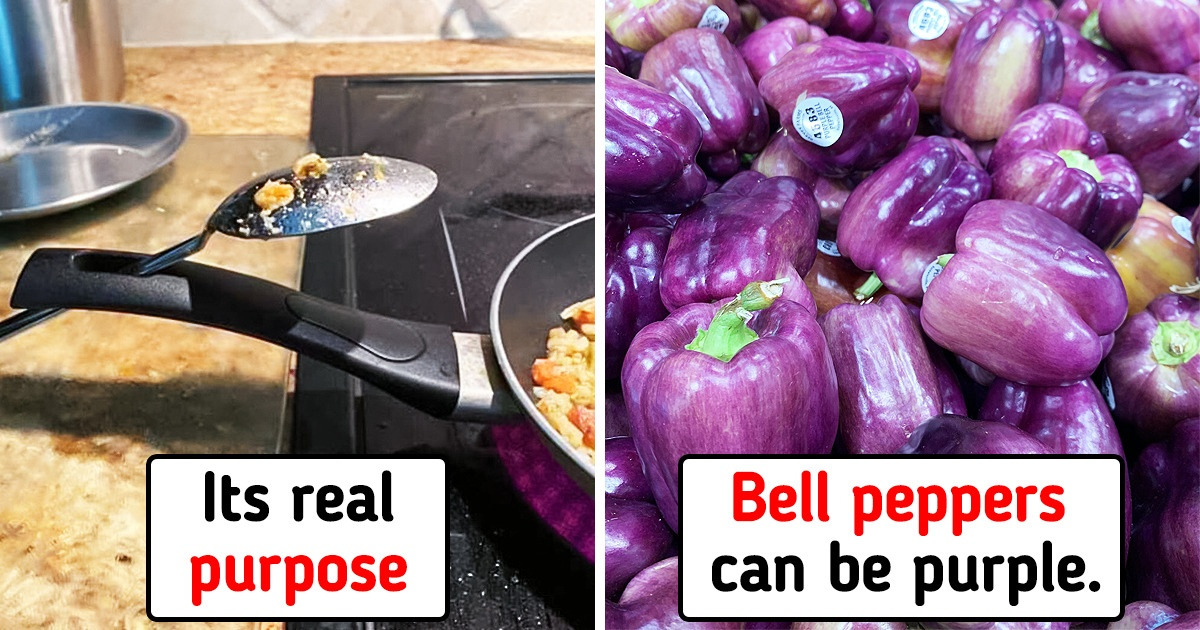 10+ People Showed Us Curious Things They Both Luckily and Accidentally Discovered 10+ People Showed Us Curious Things They Both Luckily and Accidentally Discovered