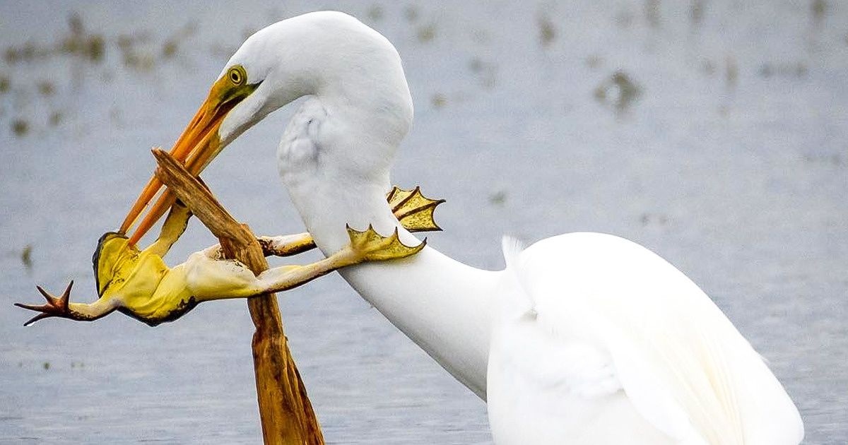 28 Thrilling Instagram Shots That Conquered National Geographic