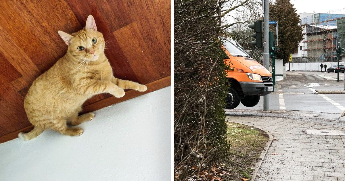 20+ Times Gravity Seems to Have Been Out of Town