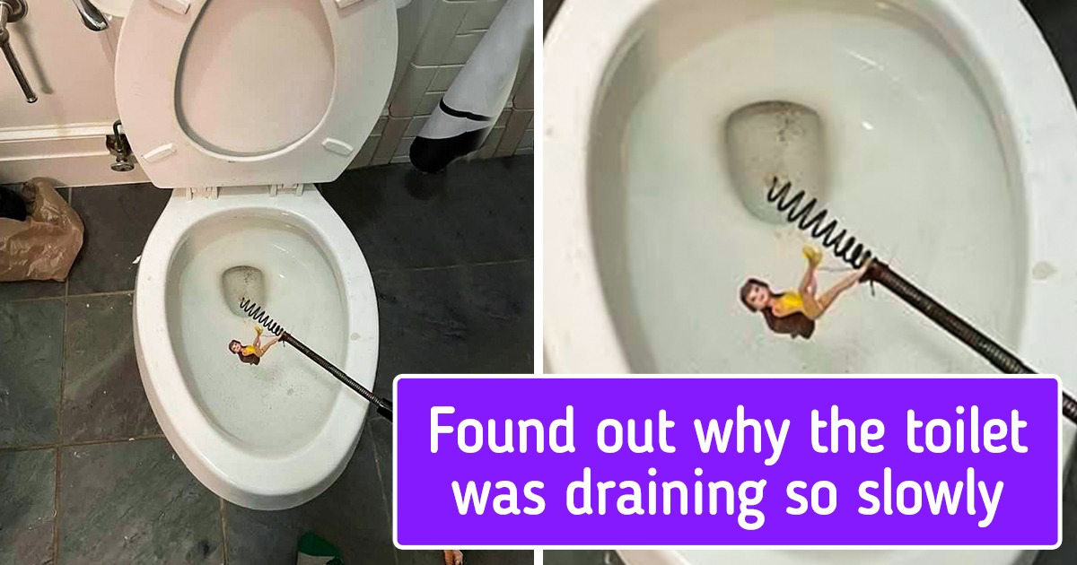 20 Times People Saw Unexpected Things That Gave Them a Good Laugh 20 Times People Saw Unexpected Things That Gave Them a Good Laugh