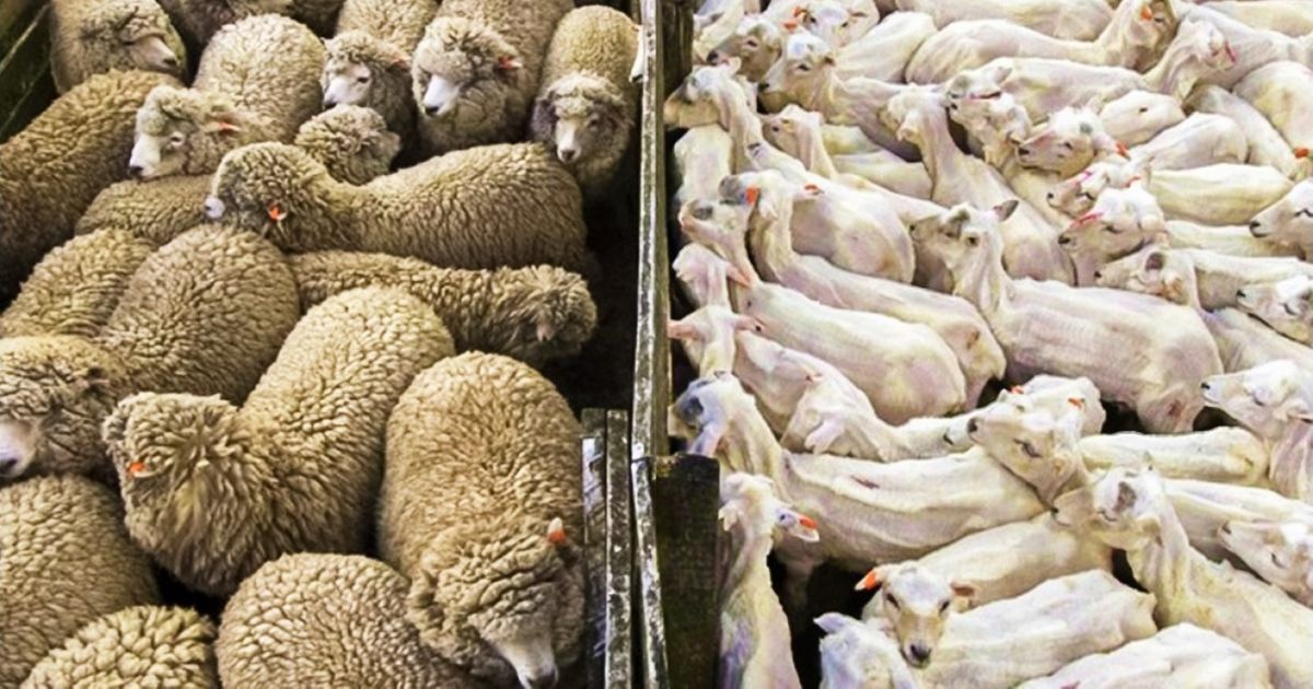 25 Photos When You Can Say, “Now I’ve Seen Everything!”