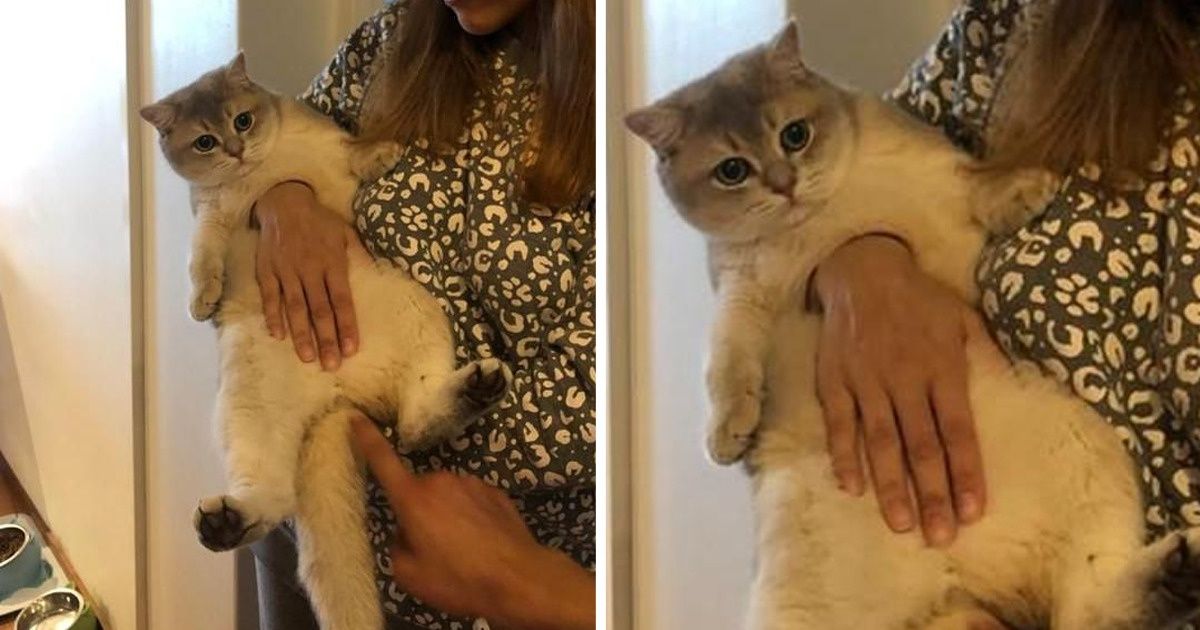 15 Pics That’ll Make You Feel Like You Need to Reboot Your Eyes