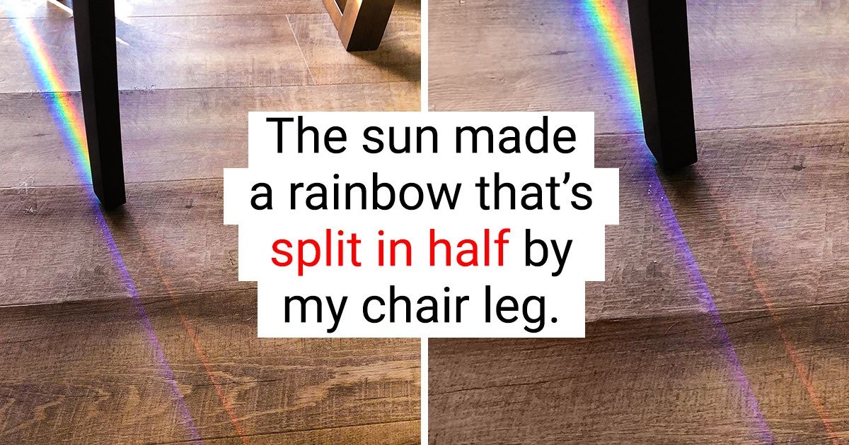 20 Amusing Coincidences That Prove Reality Just Wants to Mess Around Sometimes