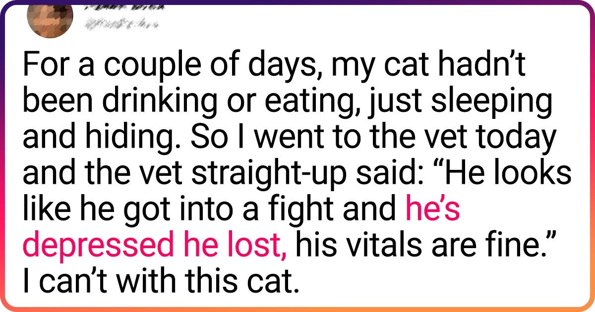 25+ Clawsome Tweets and Pics That Reveal All the Joys and Struggles of Owning a Cat 25+ Clawsome Tweets and Pics That Reveal All the Joys and Struggles of Owning a Cat