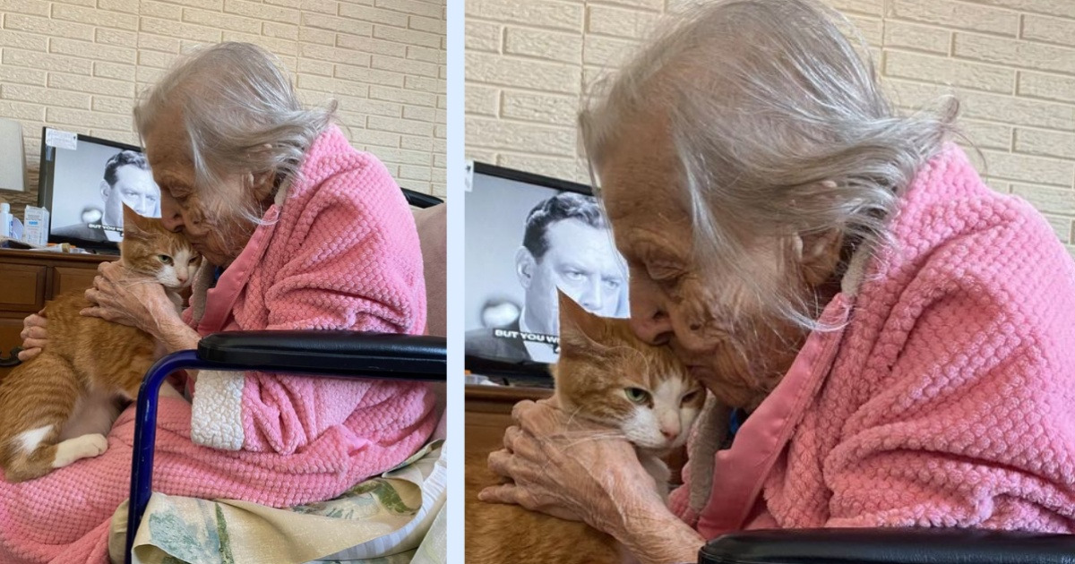 14 Pics That Prove Love Knows No Boundaries