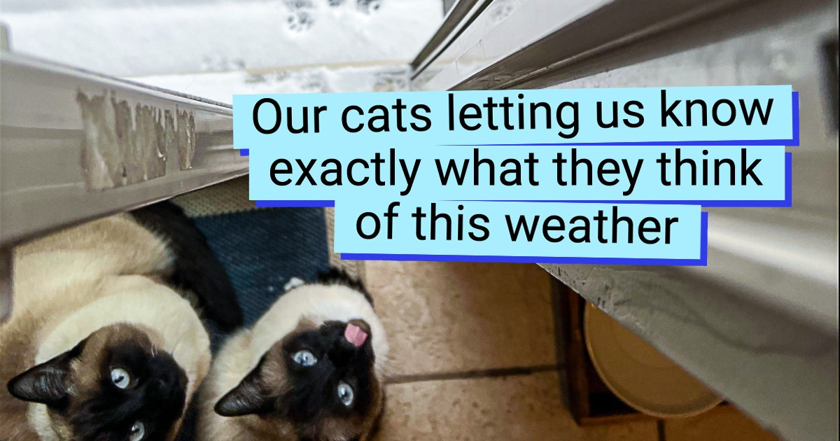 16 Photos That Have More Drama Than a Shakespearean Tragedy