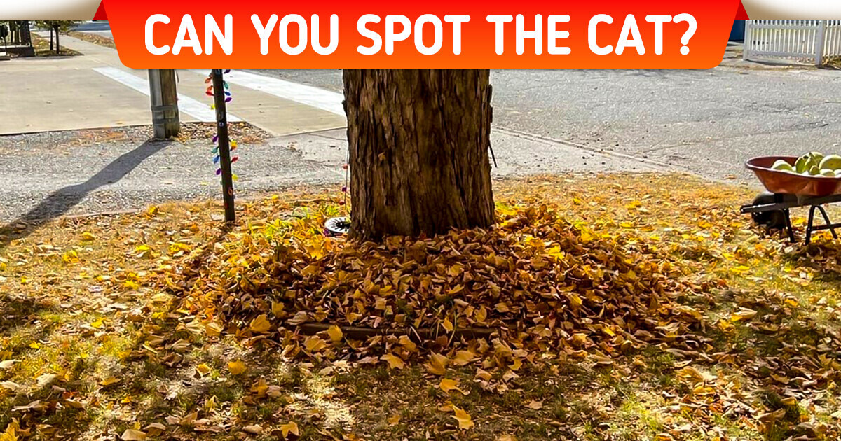 Challenge: Find the Hidden Things in These Deceiving Images That Only the Sharpest Eyes Can Spot Challenge: Find the Hidden Things in These Deceiving Images That Only the Sharpest Eyes Can Spot