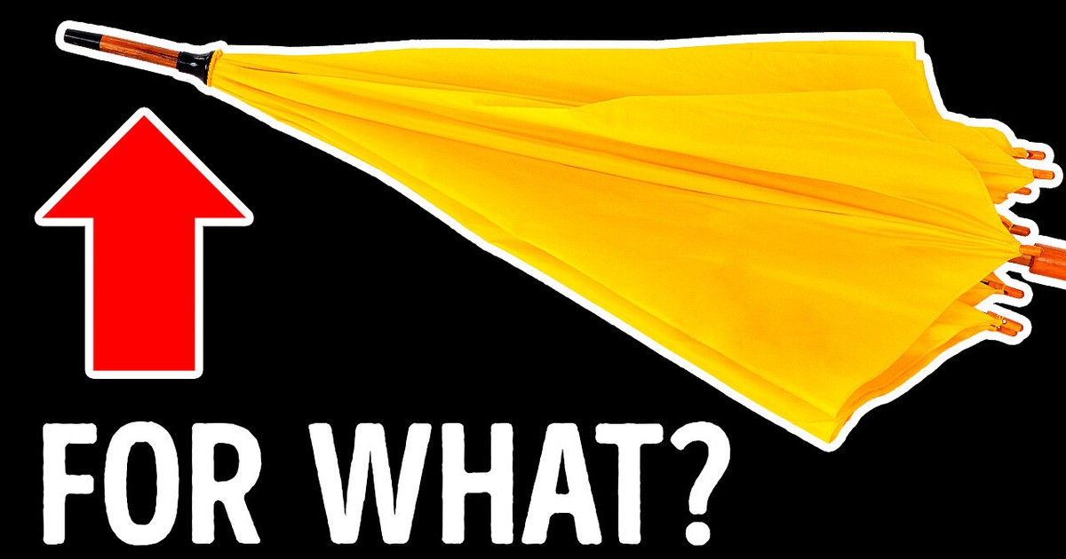 Why Umbrellas Have a Pointed End + 19 Hidden Purposes Only 1% Know Why Umbrellas Have a Pointed End + 19 Hidden Purposes Only 1% Know