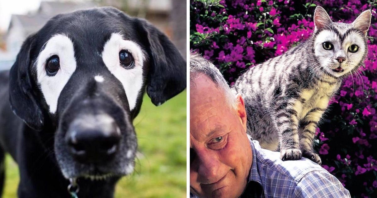 21 Ordinary Animals That Nature Made One-of-a-Kind 21 Ordinary Animals That Nature Made One-of-a-Kind
