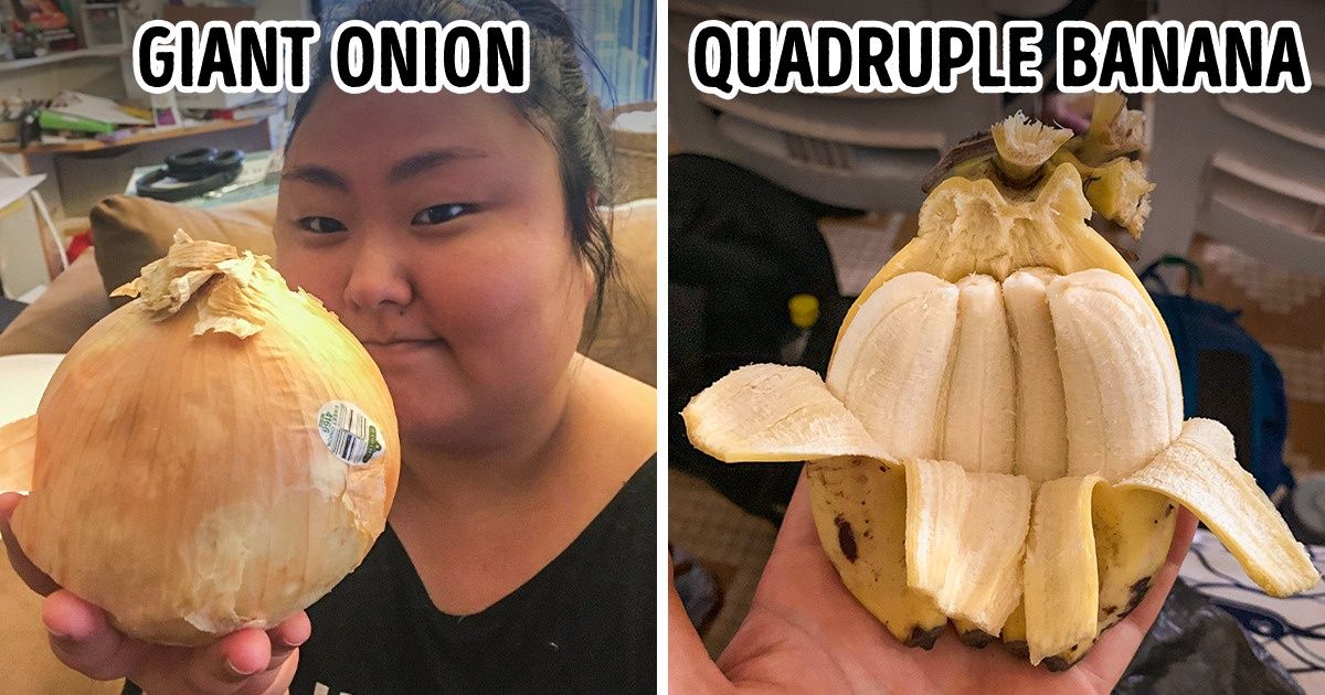 20 Wonders of Nature That Prove the World Still Has Something to Surprise Us With