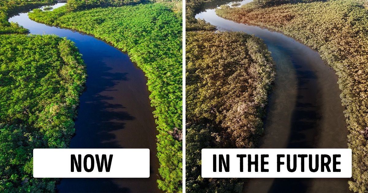 11 Things That Will Happen To Our Planet If The Amazon Rainforest Burns Down Completely