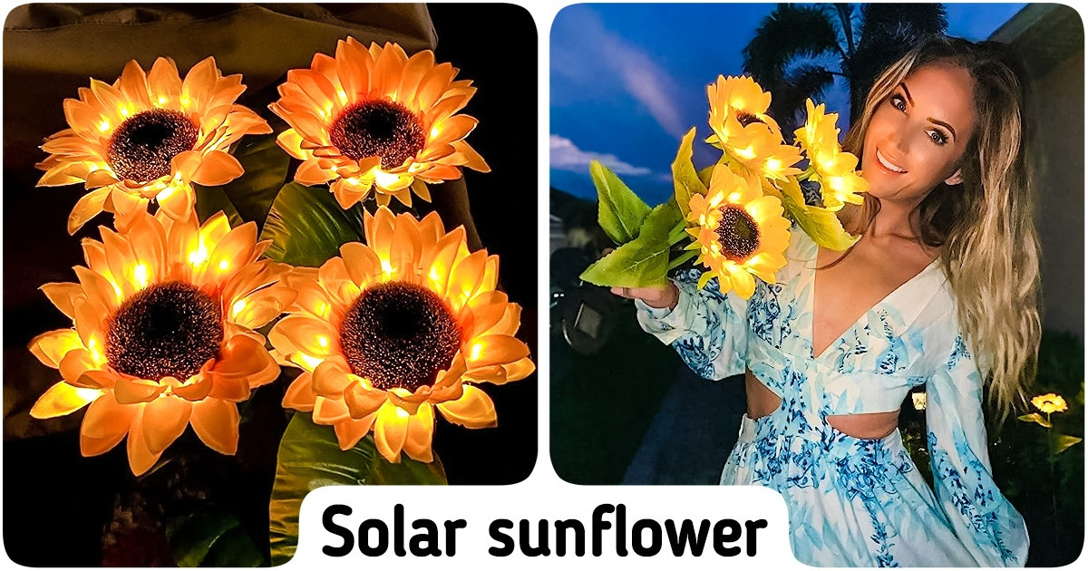 10 Smart Accessories That Will Make Your Neighbors Want Them Too 10 Smart Accessories That Will Make Your Neighbors Want Them Too