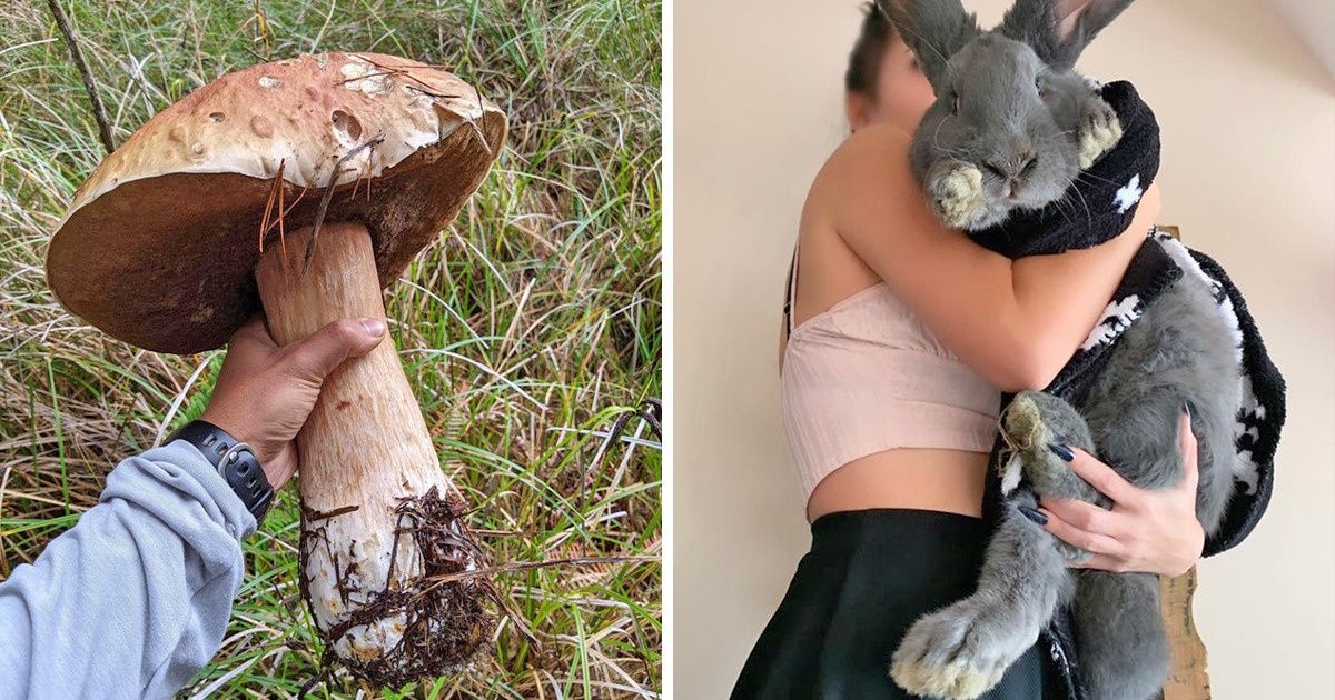16 Times People Were Lucky Enough to Find a Gift From the Universe 16 Times People Were Lucky Enough to Find a Gift From the Universe